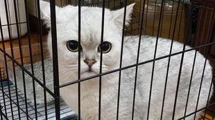 澡逼视频,揭秘浴室里的趣味瞬间