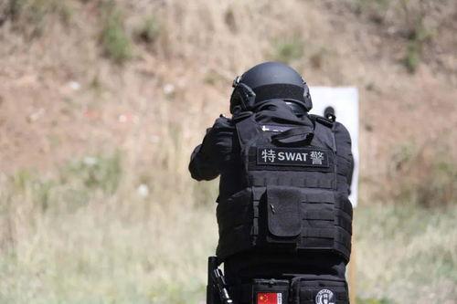 特警训练视频,硬核技能全解析